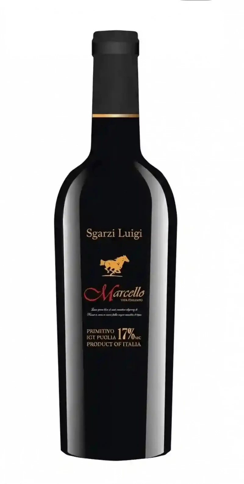 Vang Sgarzi Luigi Marcello Primitivo