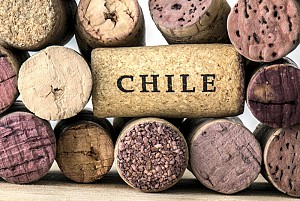 Rượu vang Chile quá trình hình thành và phát triển 