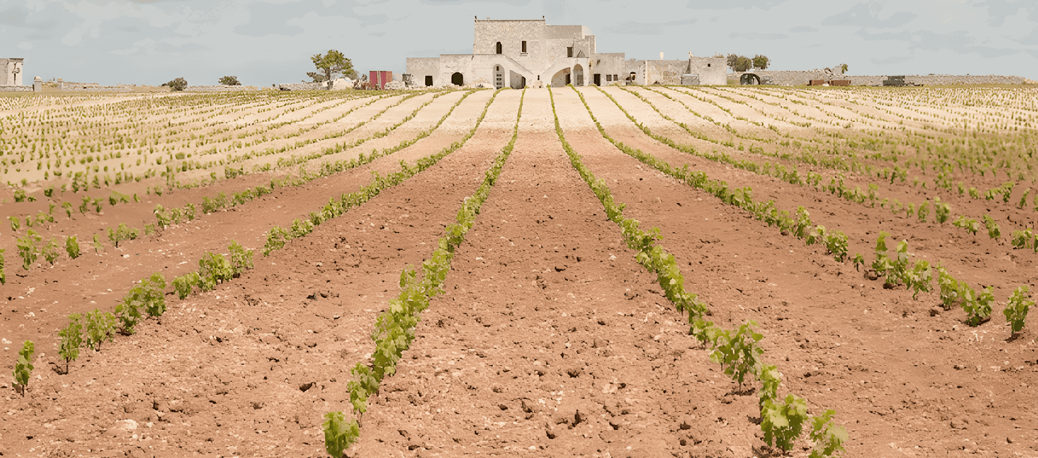 SAN-MARZANO